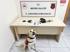 Uyuşturucu Operasyonu, 5 Şüpheli Tutuklandı…